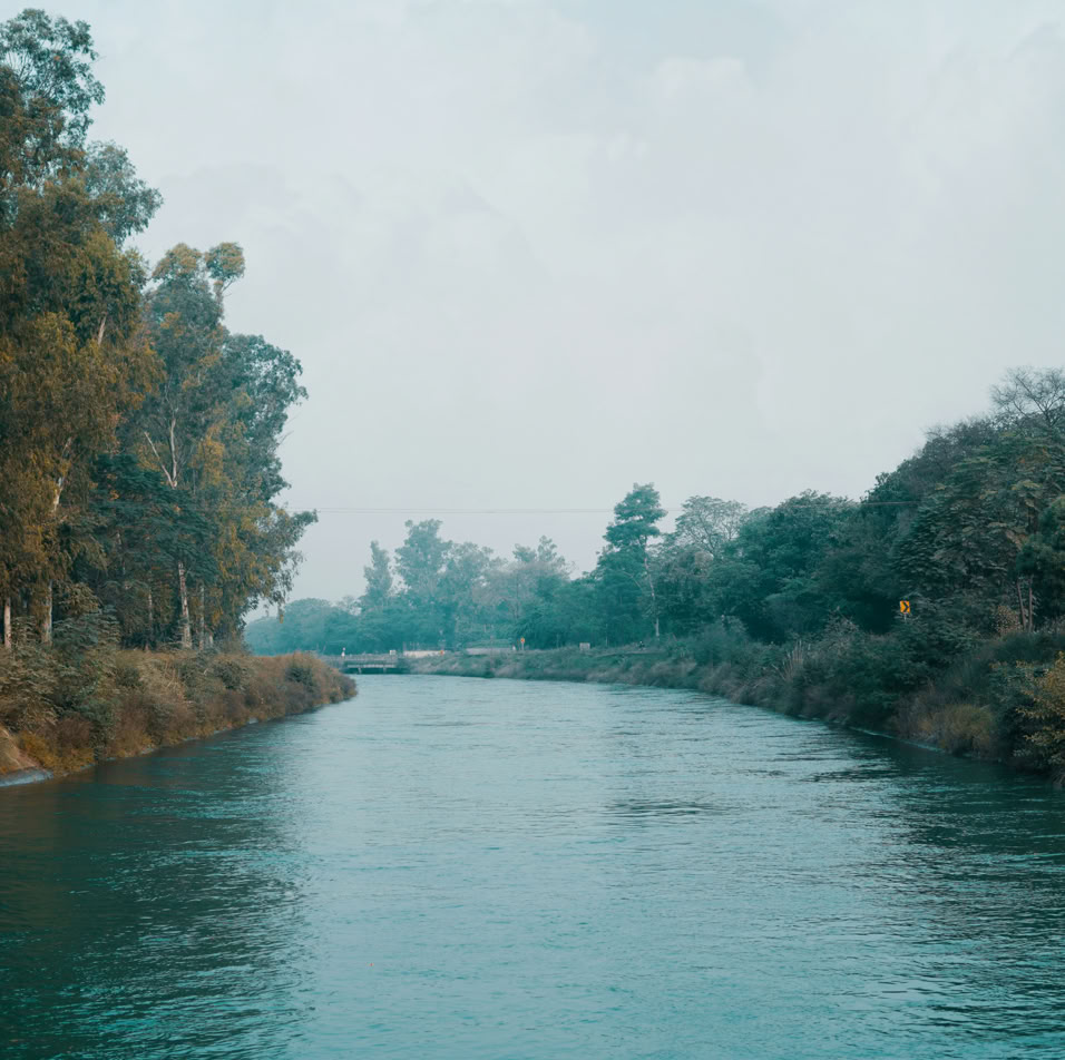 Rivière bordée d'arbres sous un ciel nuageux.